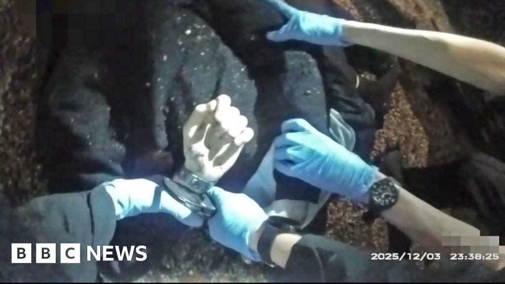 Murdered student Henry Novak told police 'I can't breathe' while handcuffed